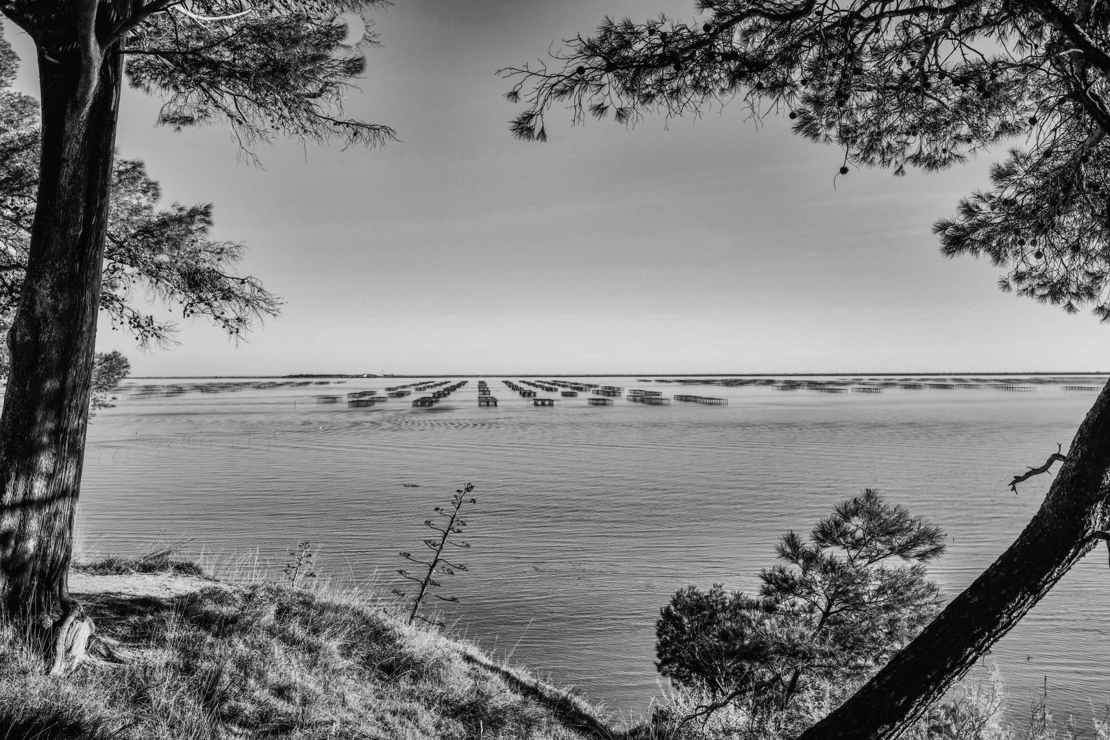 Marseillan